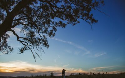 Kelsey & Cam // Boxgrove Bathurst