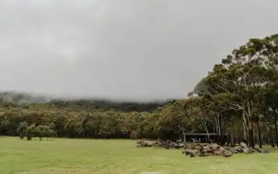 Magnificent Wedding Venues in Country Victoria