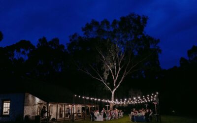 Wedding Reception Guide